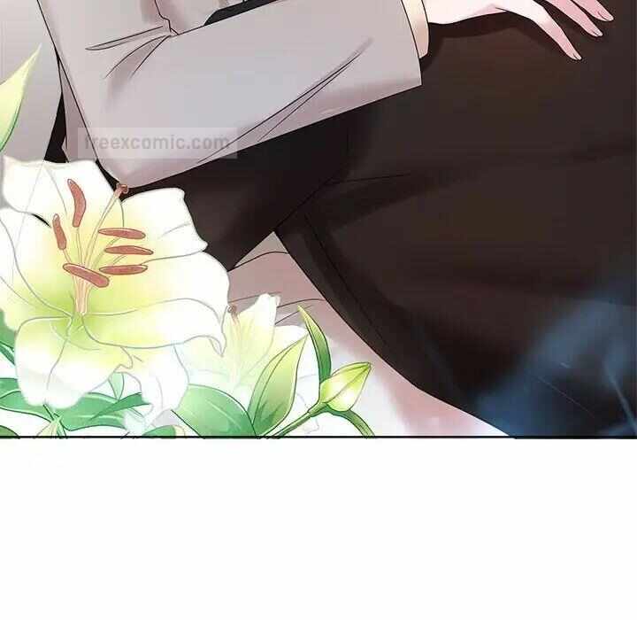 第12张