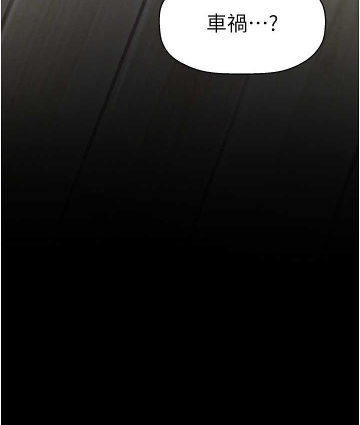 第95张