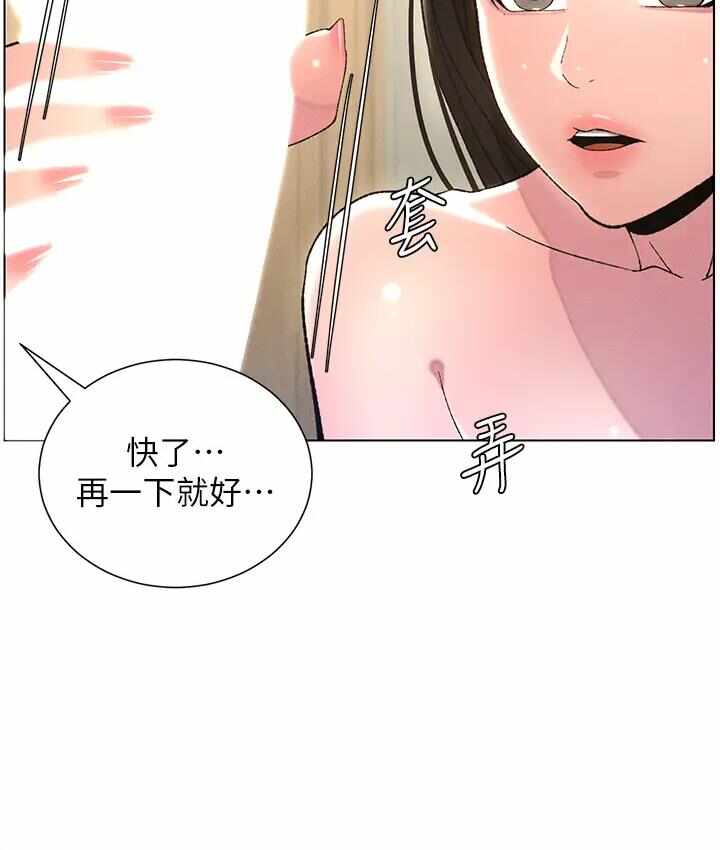第12张