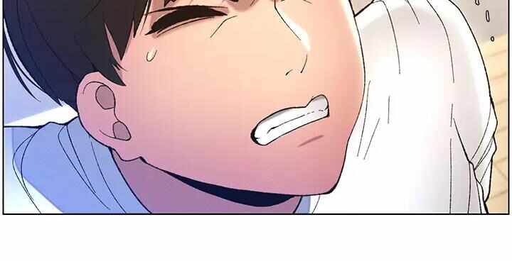 第16张