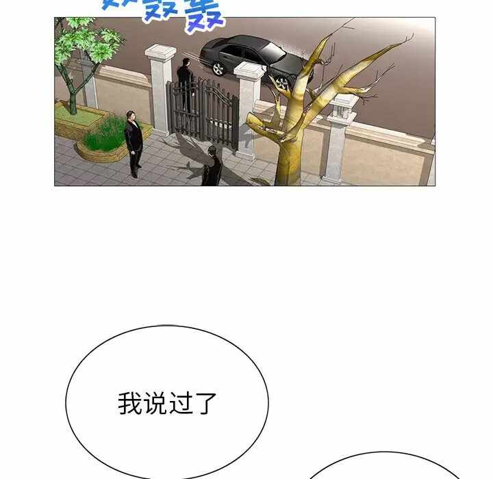 第49张
