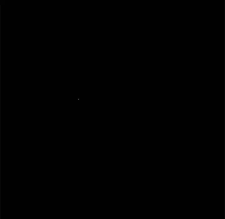 第96张