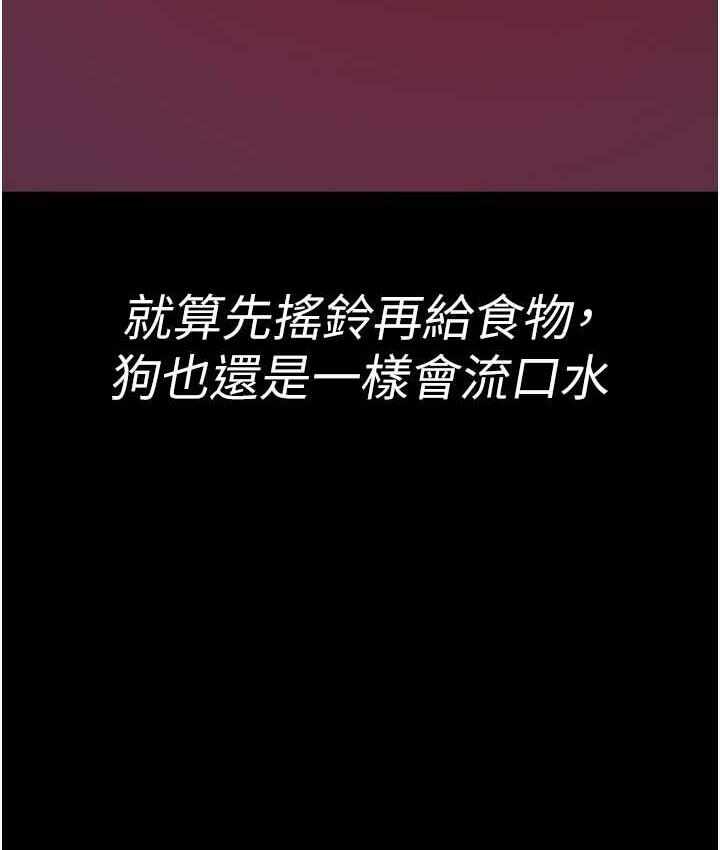 第145张