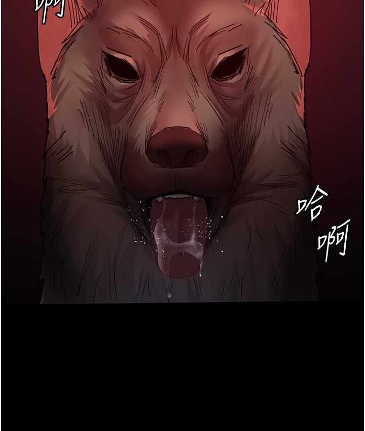 第153张