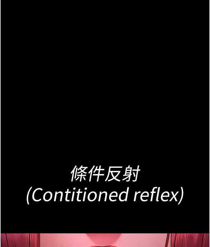 第156张