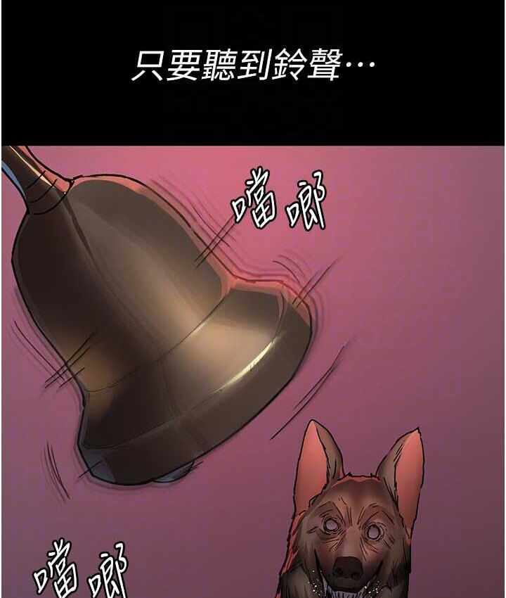 第172张
