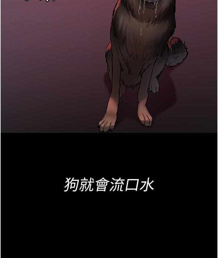 第177张