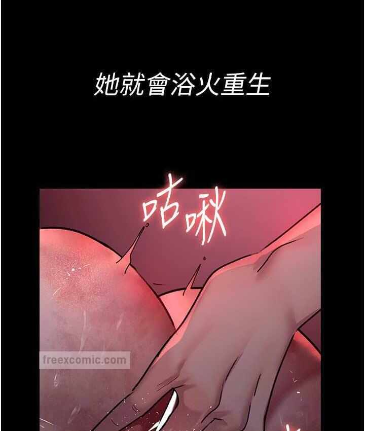 第5张