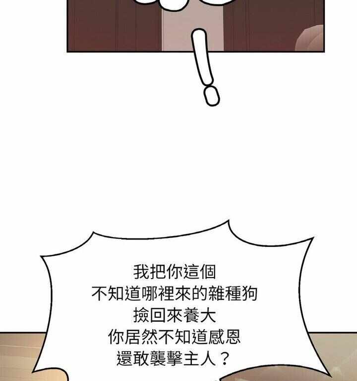 第5张