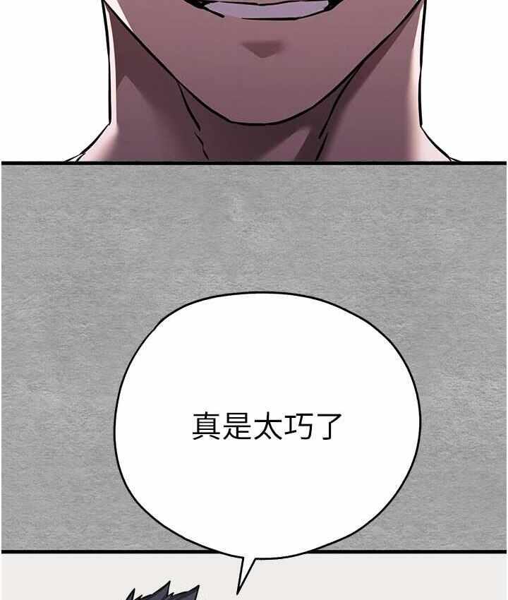 第12张