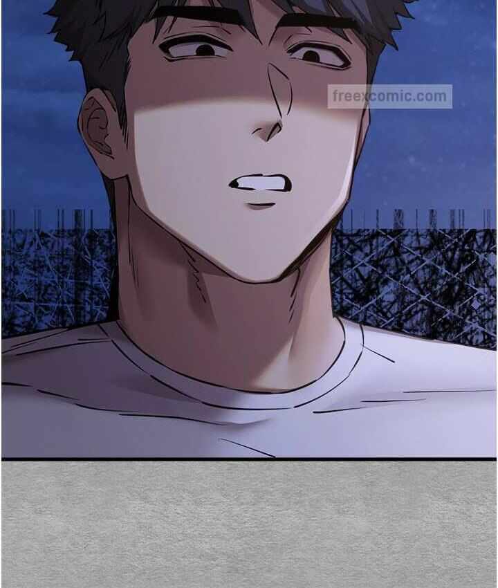 第115张