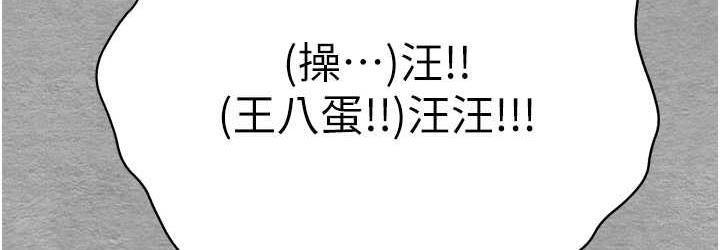 第163张