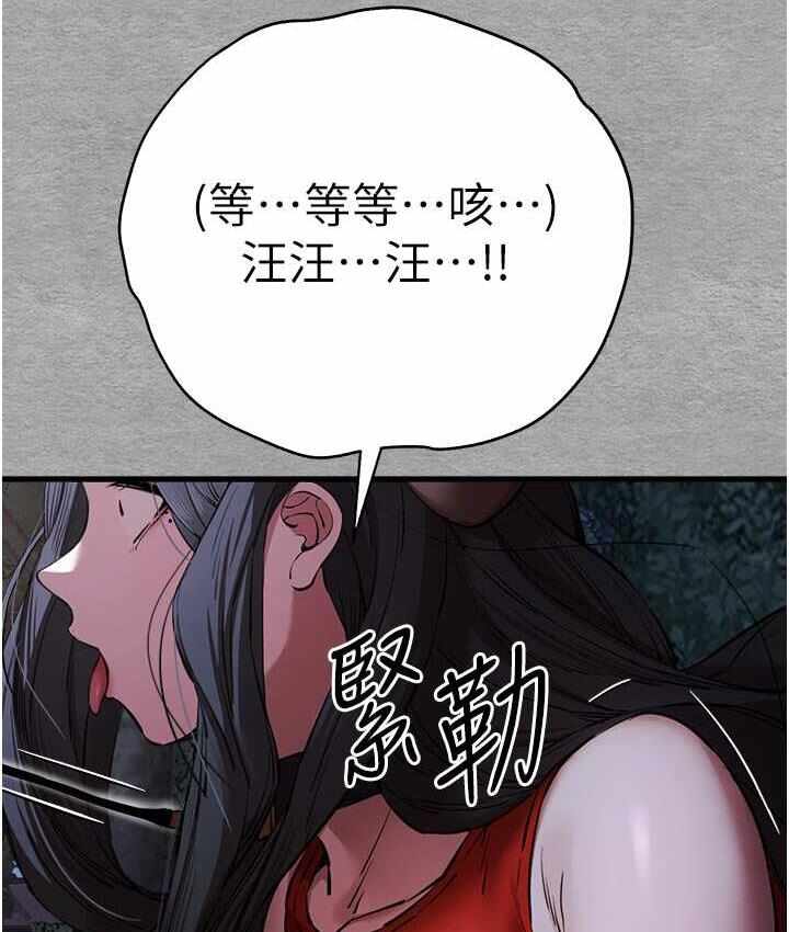 第172张