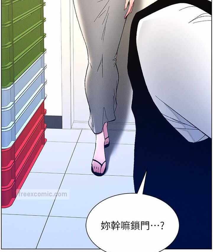 第11张