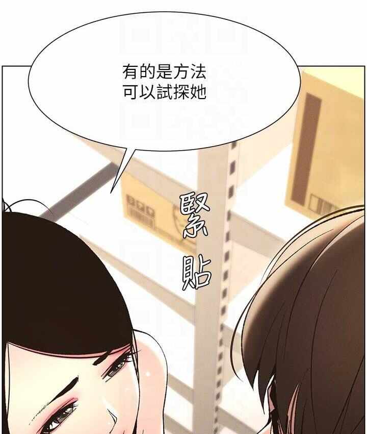 第31张