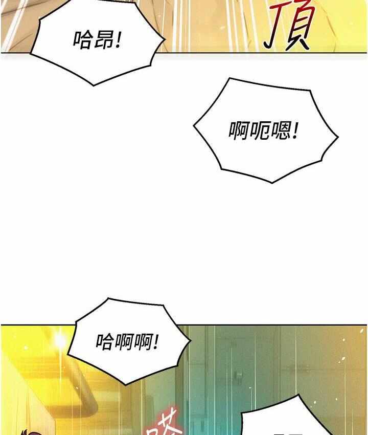 第11张