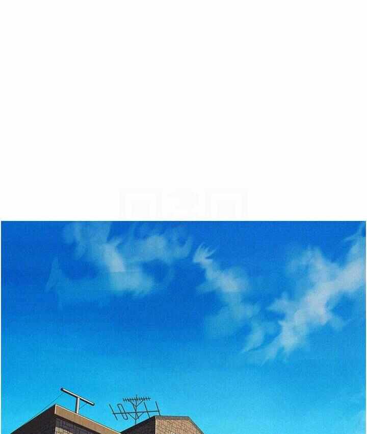 第53张
