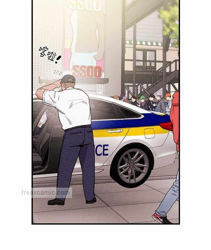 第195张