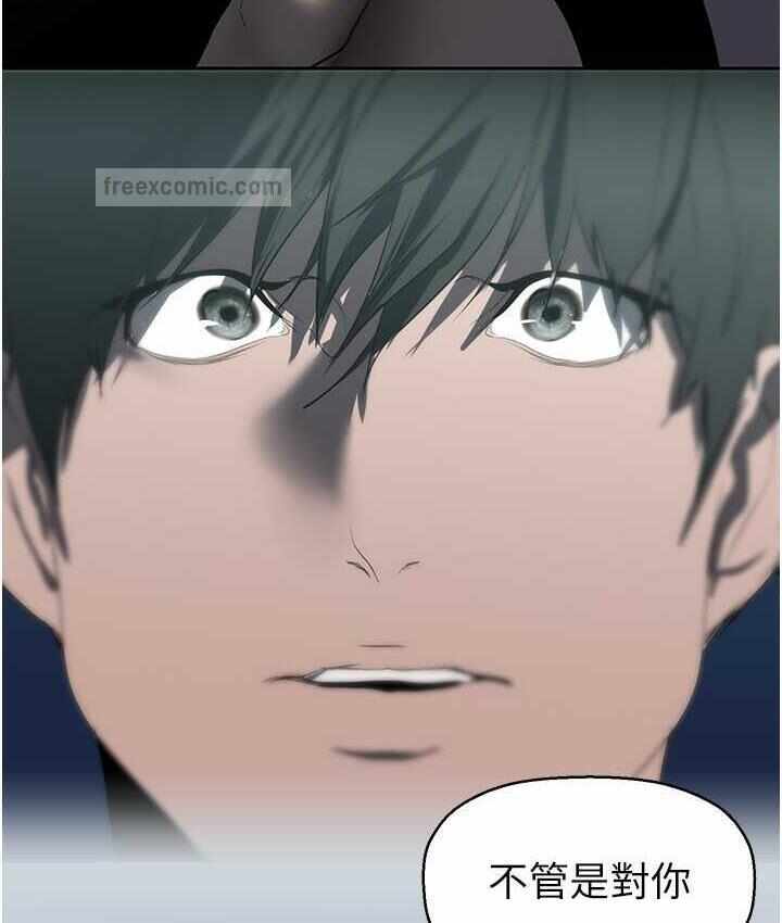 第11张