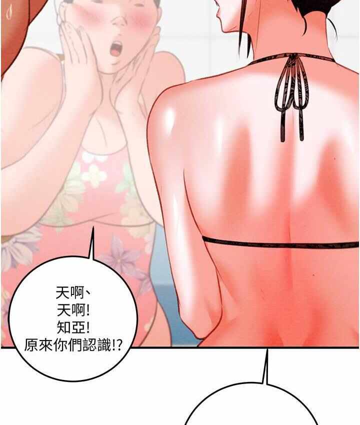 第173张