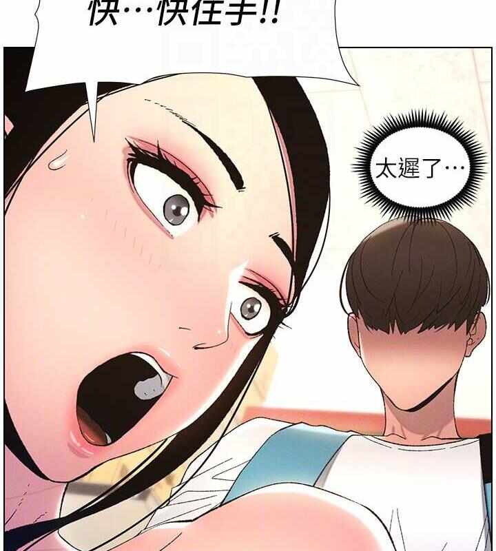 第13张