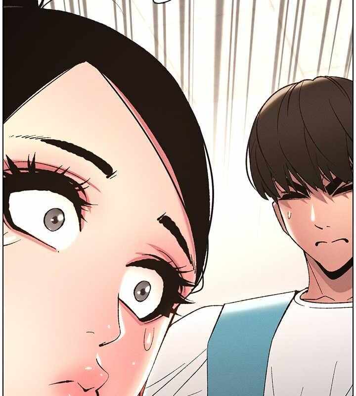 第65张