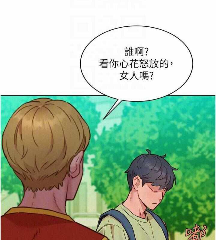 第13张