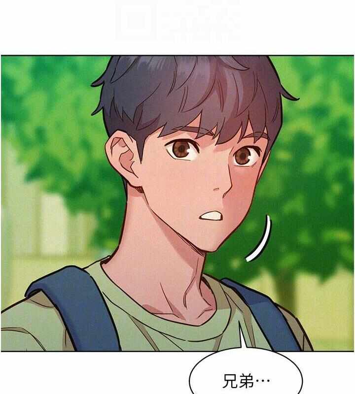 第17张