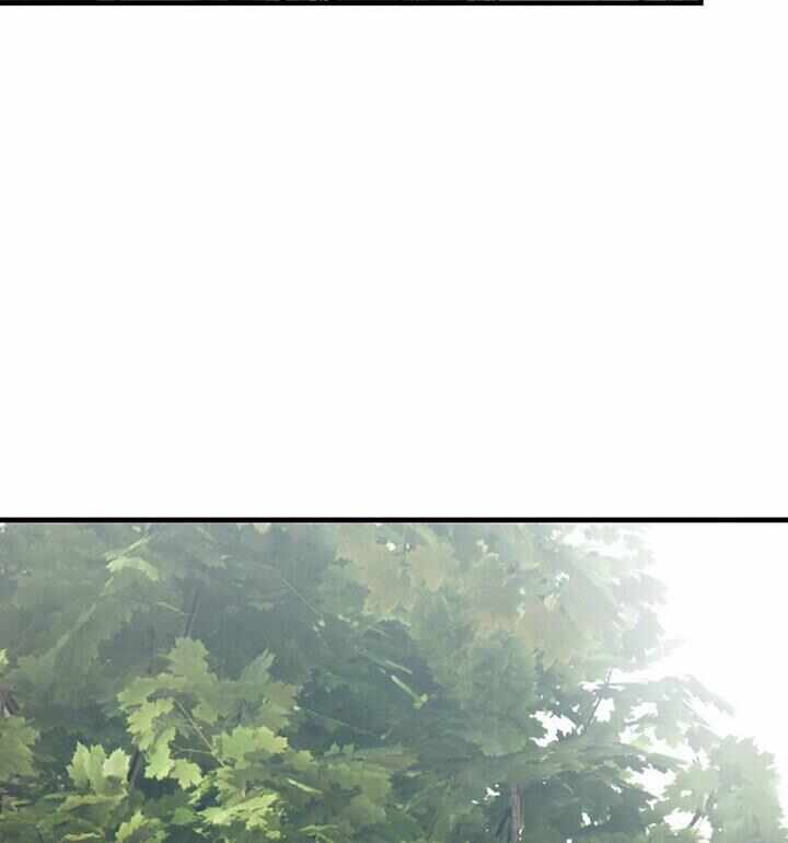 第66张