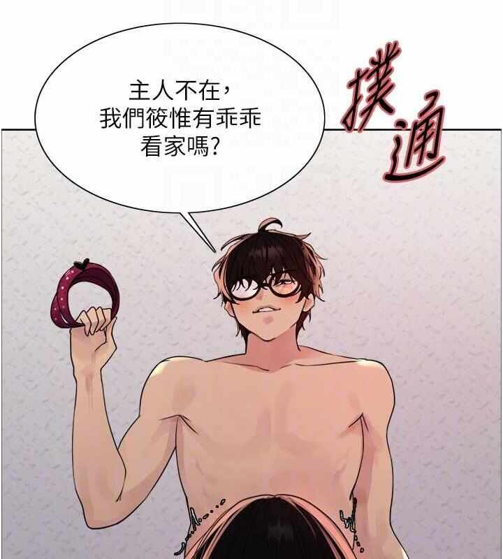 第114张
