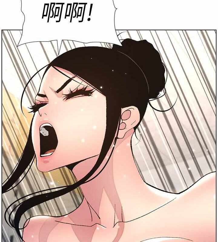 第62张