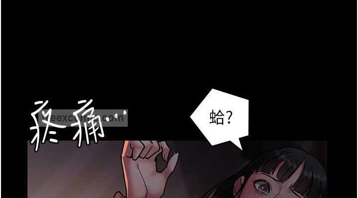 第5张