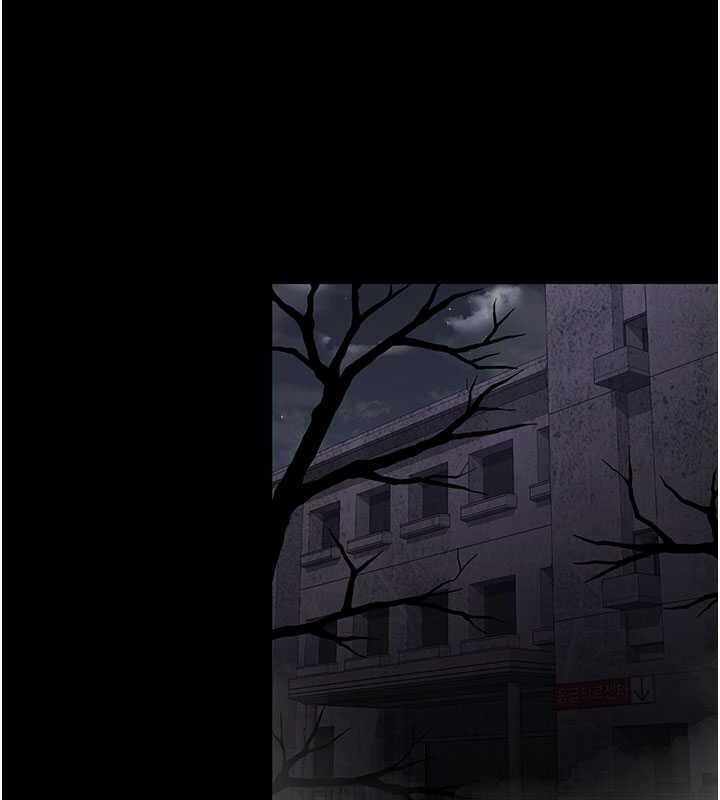 第55张