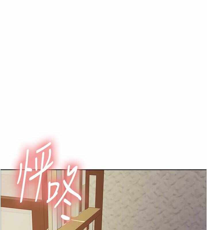 第17张