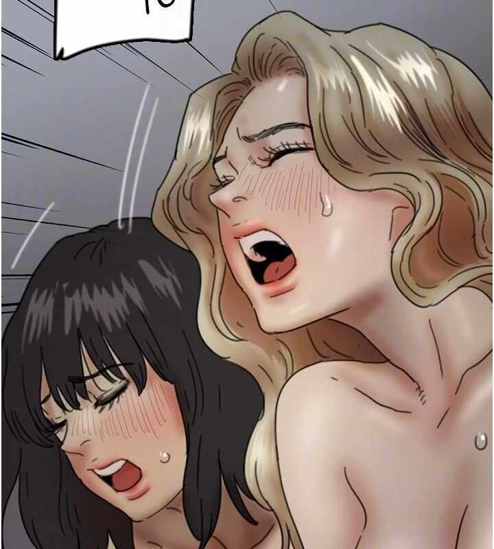 第164张