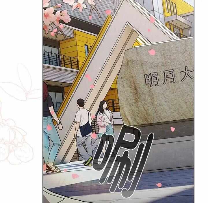 第8张