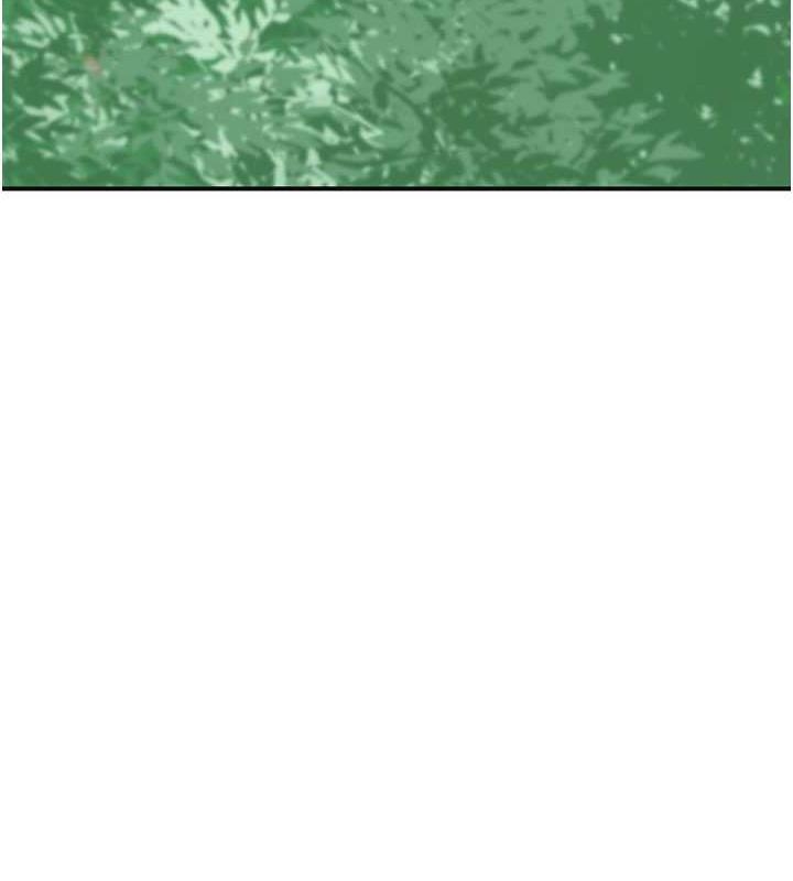 第6张