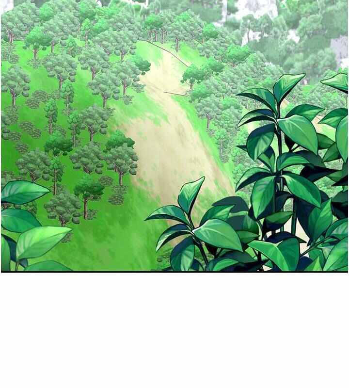 第67张