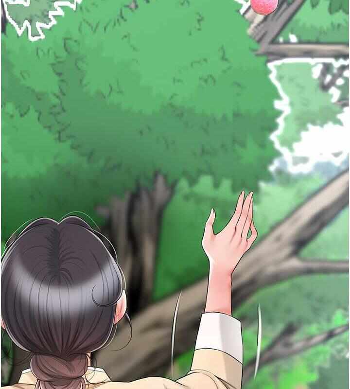第31张