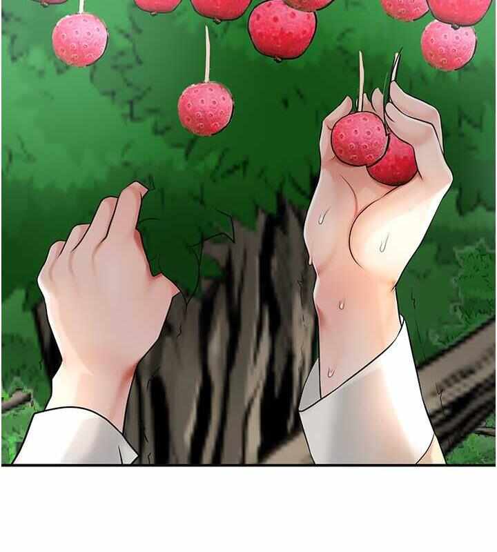 第4张