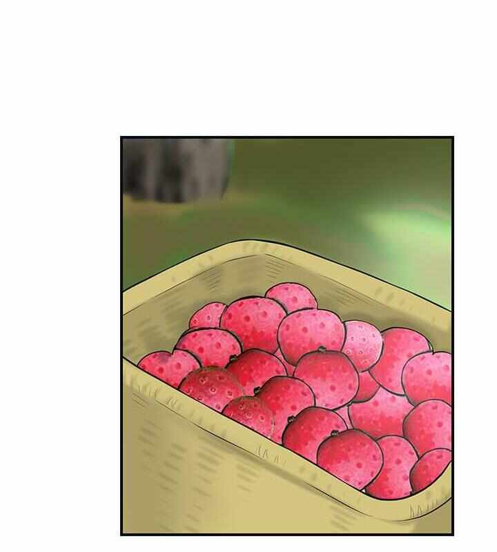 第33张