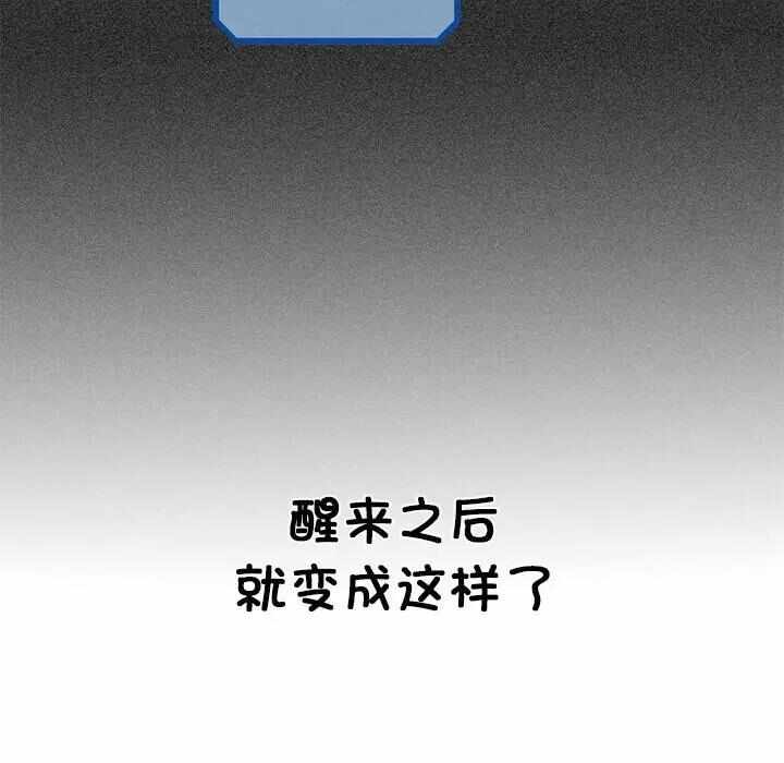 第135张