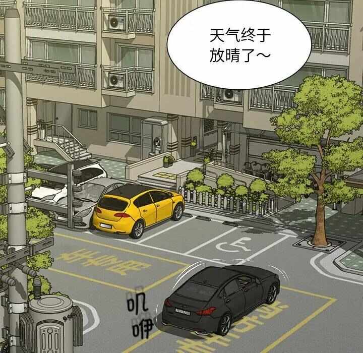 第81张