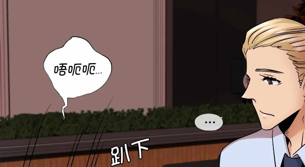 第14张