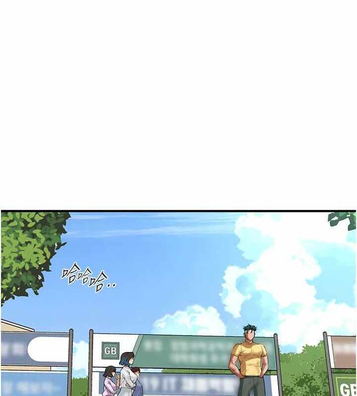 第3张