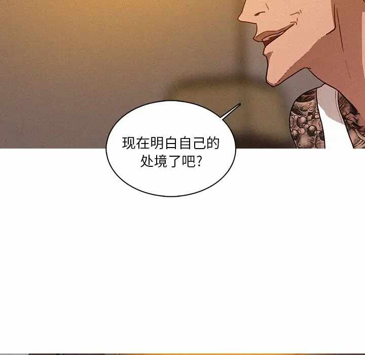 第83张
