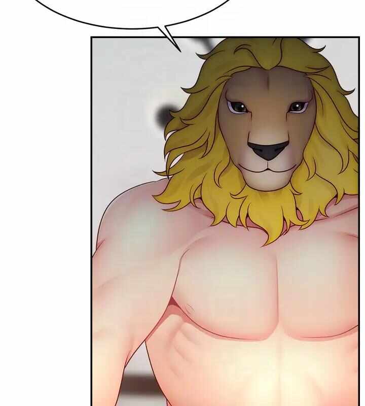 第144张