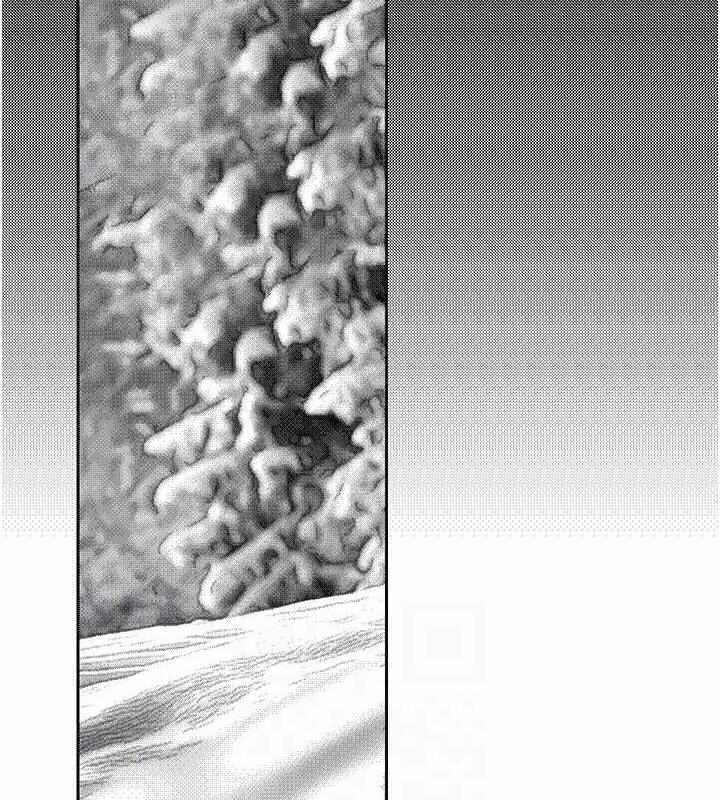 第62张