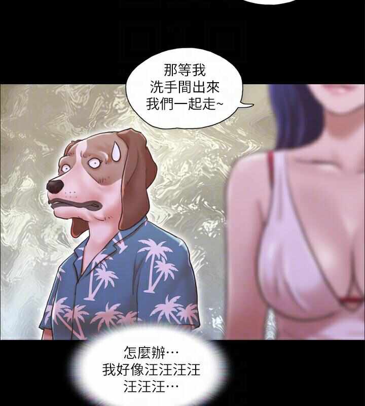 第46张