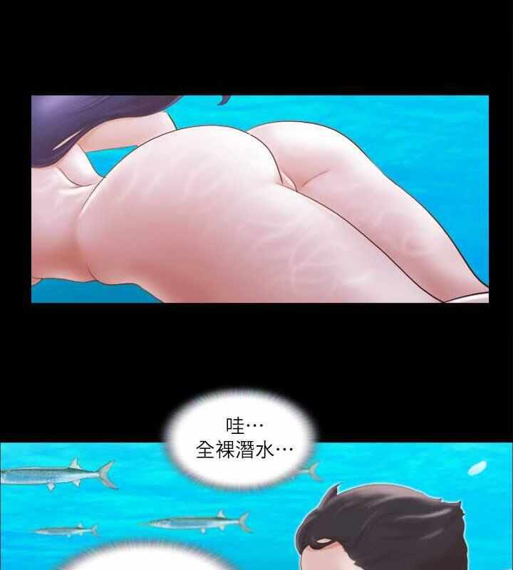 第41张